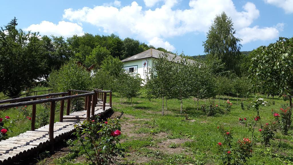 Hotel Activ Parc Negresti Zewnętrze zdjęcie