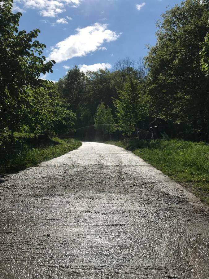 Hotel Activ Parc Negresti Zewnętrze zdjęcie